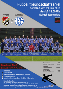 S04-Kubach_2016 Poster_05